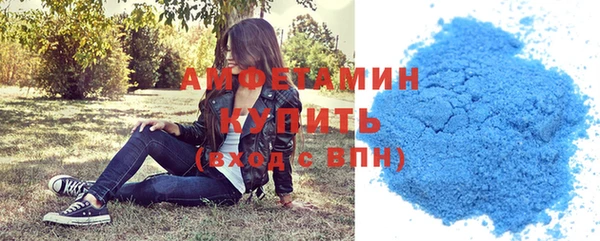 прущие грибы Баксан