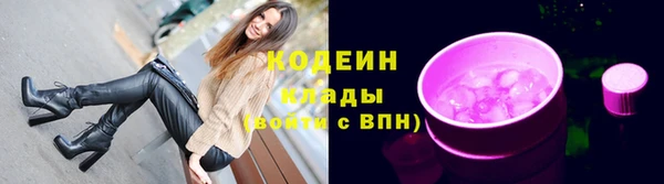 прущие грибы Баксан