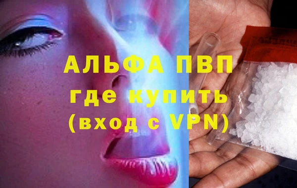 СК Балахна