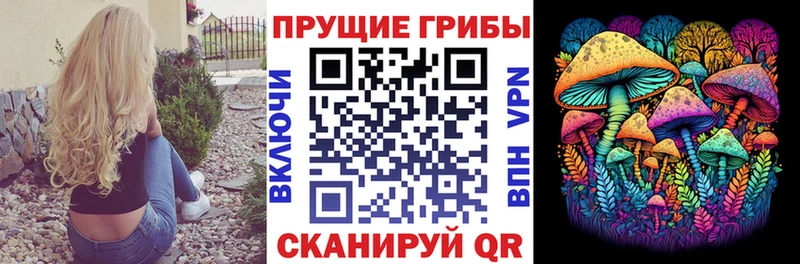 Псилоцибиновые грибы прущие грибы  Шахунья 